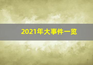 2021年大事件一览