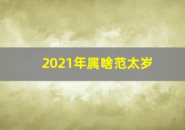 2021年属啥范太岁