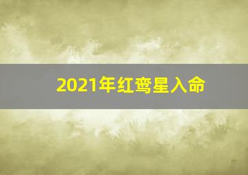 2021年红鸾星入命