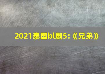 2021泰国bl剧5:《兄弟》