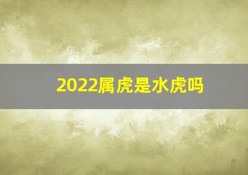 2022属虎是水虎吗