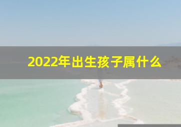 2022年出生孩子属什么