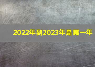 2022年到2023年是哪一年