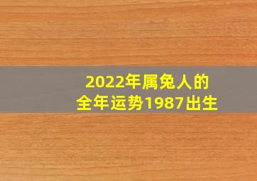 2022年属兔人的全年运势1987出生