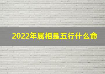 2022年属相是五行什么命