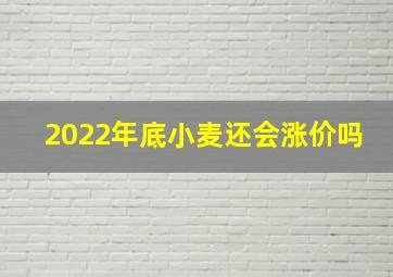 2022年底小麦还会涨价吗