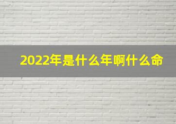 2022年是什么年啊什么命