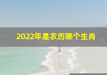 2022年是农历哪个生肖