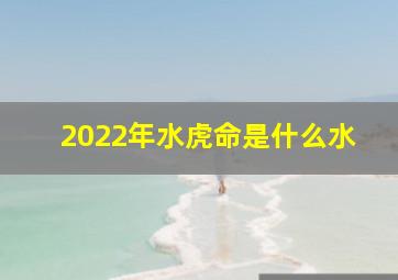 2022年水虎命是什么水