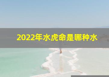 2022年水虎命是哪种水