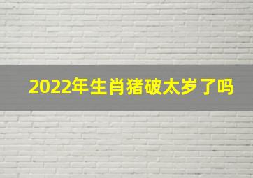 2022年生肖猪破太岁了吗