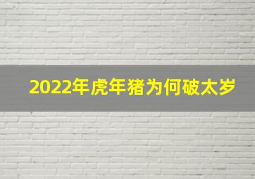 2022年虎年猪为何破太岁