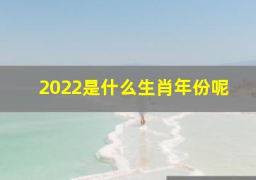 2022是什么生肖年份呢