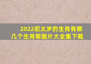 2022犯太岁的生肖有哪几个生肖呢图片大全集下载