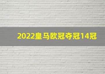 2022皇马欧冠夺冠14冠