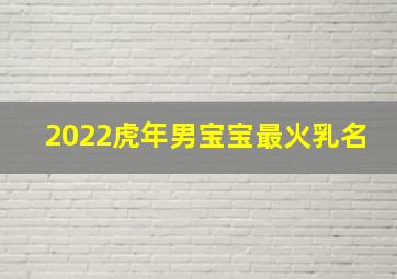 2022虎年男宝宝最火乳名