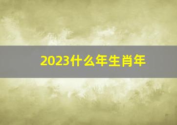 2023什么年生肖年