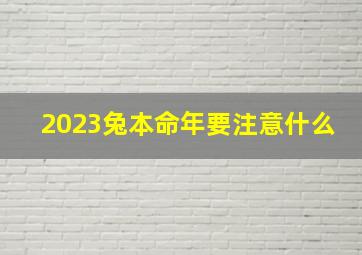 2023兔本命年要注意什么