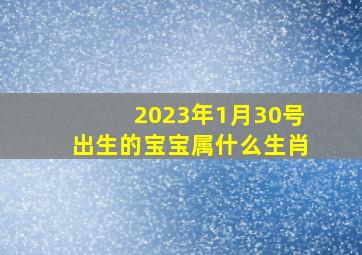 2023年1月30号出生的宝宝属什么生肖