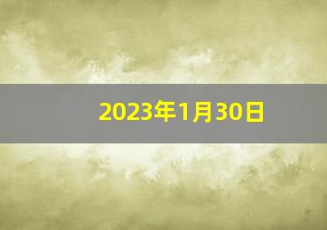 2023年1月30日