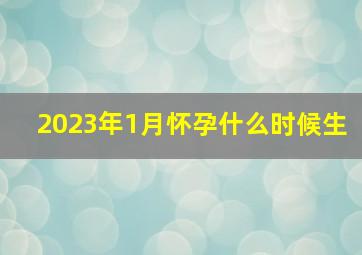 2023年1月怀孕什么时候生