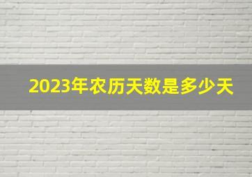 2023年农历天数是多少天