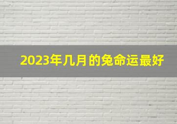 2023年几月的兔命运最好