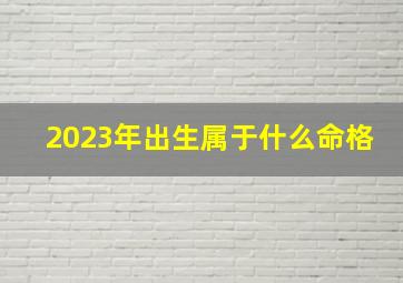 2023年出生属于什么命格