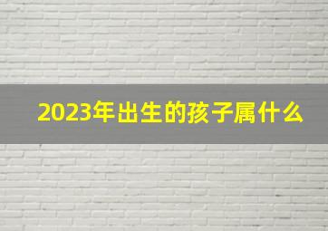 2023年出生的孩子属什么