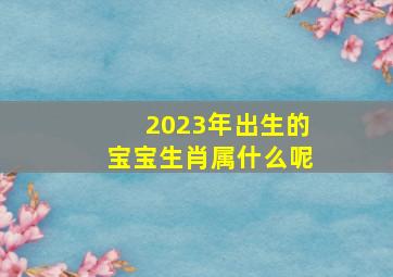 2023年出生的宝宝生肖属什么呢