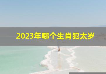 2023年哪个生肖犯太岁