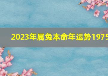 2023年属兔本命年运势1975