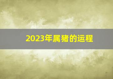 2023年属猪的运程