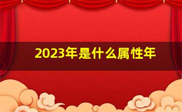 2023年是什么属性年