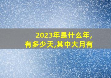 2023年是什么年,有多少天,其中大月有