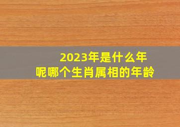 2023年是什么年呢哪个生肖属相的年龄