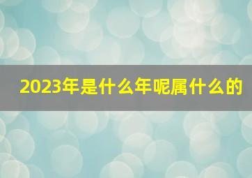 2023年是什么年呢属什么的