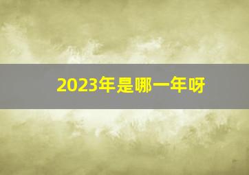 2023年是哪一年呀