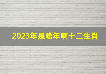 2023年是啥年啊十二生肖