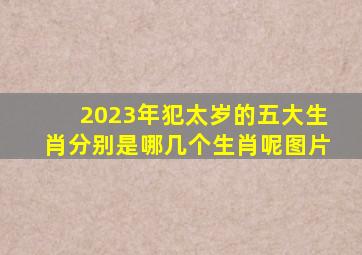 2023年犯太岁的五大生肖分别是哪几个生肖呢图片