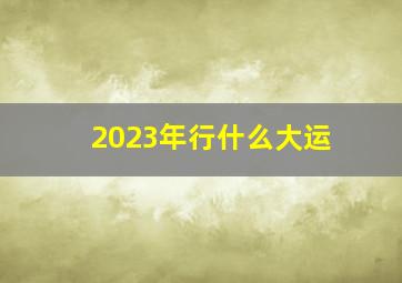 2023年行什么大运