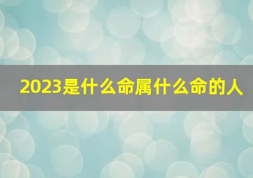 2023是什么命属什么命的人