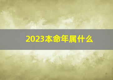 2023本命年属什么