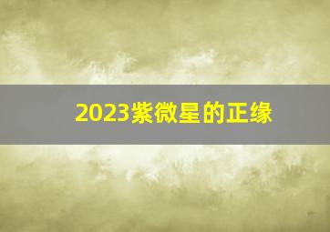 2023紫微星的正缘