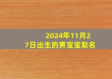 2024年11月27日出生的男宝宝取名