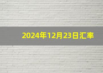 2024年12月23日汇率