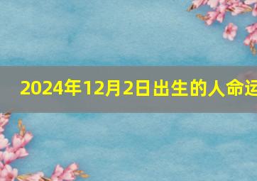 2024年12月2日出生的人命运