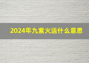 2024年九紫火运什么意思