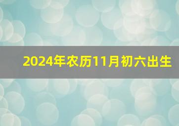 2024年农历11月初六出生