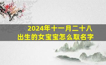 2024年十一月二十八出生的女宝宝怎么取名字